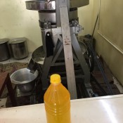 Groundnut Oil Extracted in Chekku (0)